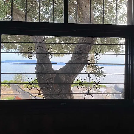 Athos Seagull Wagon Holiday home Ouranoupoli