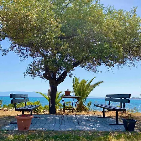 Athos Seagull Wagon Holiday home *